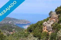 Reduced!!! Olive grove with stunning views of the Port of Sóller — photo 1