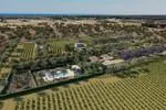 Rustic Finca for sale in Ses Covetes — photo 4