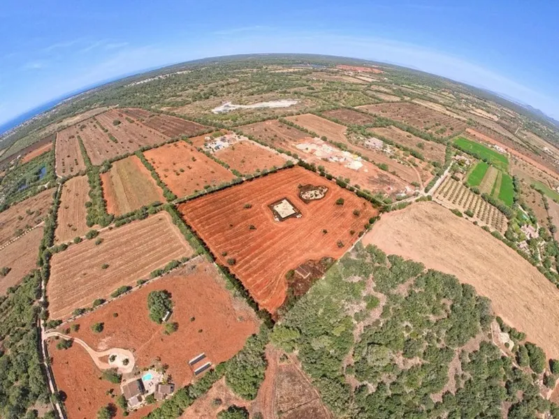 Land in Campos, Province of Balearic Islands — photo 4