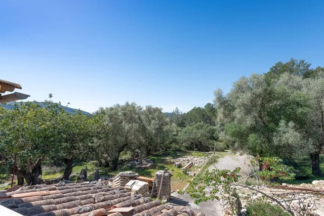 Finca for sale with license to refurbish and legalise in Pollensa, North Mallorca — photo 6