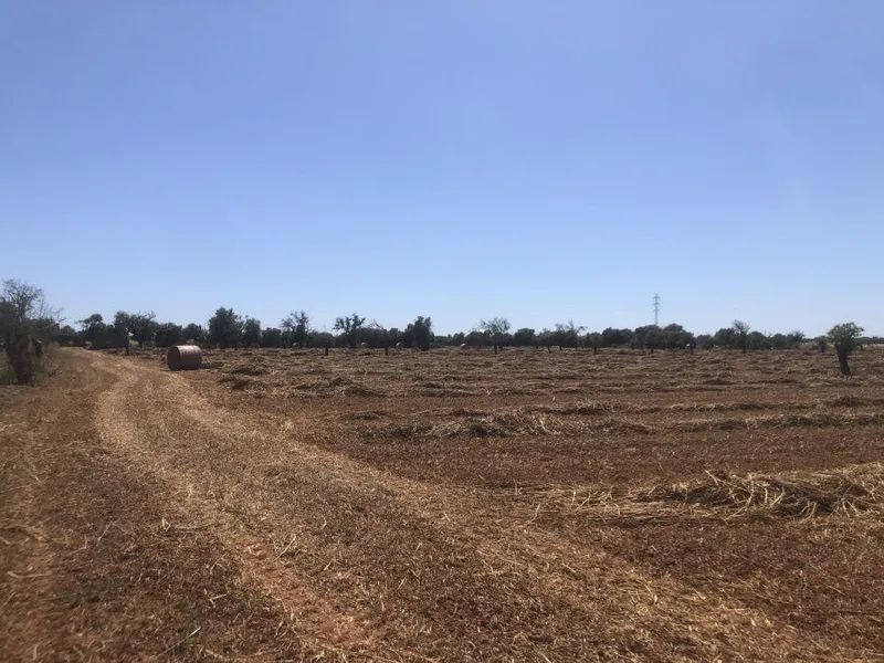 Plot with beautiful open views on a quiet plot 5 minutes from Campos — photo 3