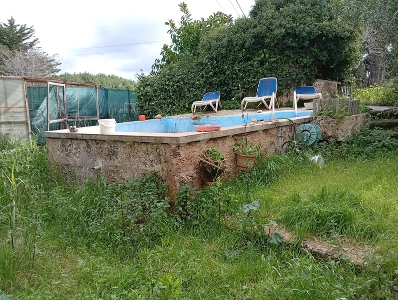Urban dwelling and rustic estate in Alcudia — photo 1