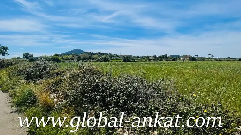 Rustic finca to be built, located in the area of Es Pujol de Son Prohens. It has a plot of about 17,265 m2 fully — photo 7