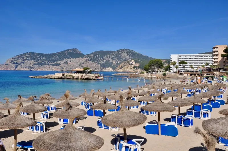 Mallorca Next Properties - Plot with panoramic views of Port Andratx — photo 6