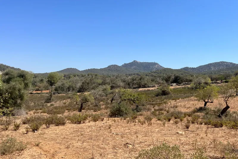 Building plot near Es Carritxó with views and approved finca project — photo 1
