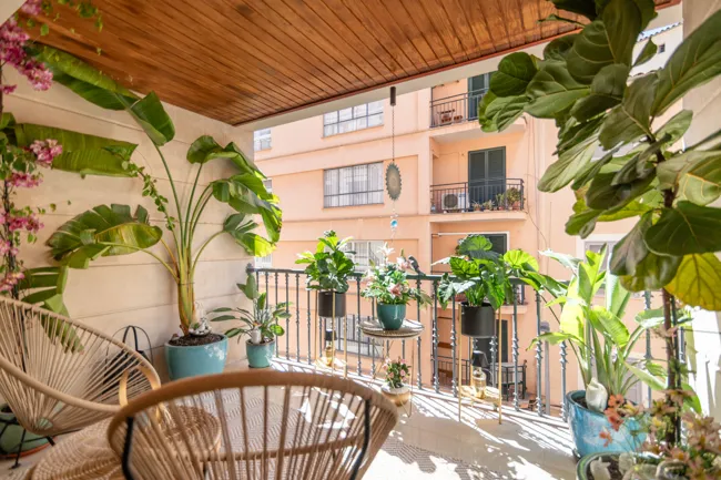 3-room flat for purchase in Palma de Mallorca (property number AP244) | PM Real Estate — photo 2