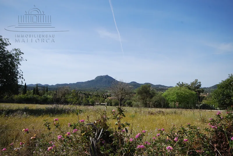 Finca Neubauprojekt zum Top Preis — photo 1
