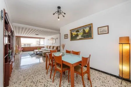 Apartment - Alcúdia (Ciutat d'Alcúdia) — photo 4