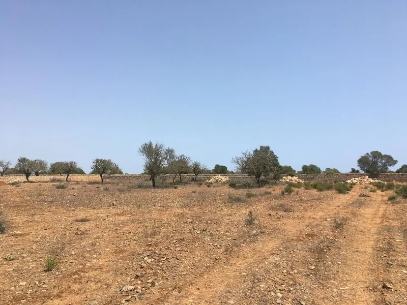 Villa for sale in Es Llombards Santanyi of 420 m2 — photo 11
