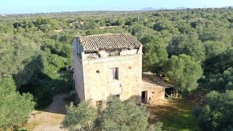 Big finca near Campos with many possibilities — photo 5