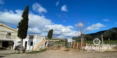 Country estate for renovation between the village and the port of Andratx — photo 5
