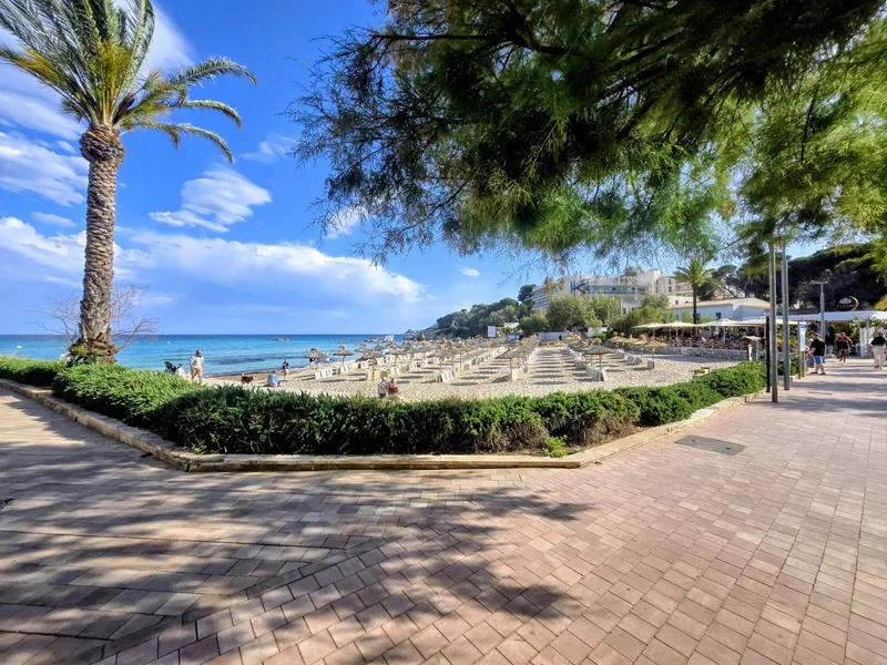 Unique Opportunity! Commercial Premises 1 Meter from Son Moll Beach - Cala Ratjada — photo 12