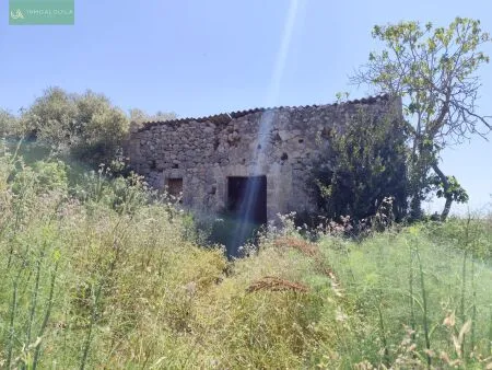 Rural Land - Maria de la Salut (Maria de la Salud), Built Surface 44m², Plot Surface 5000m² — photo 1