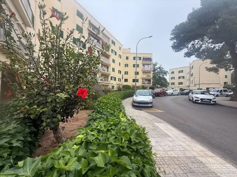We present this practical and cozy studio of 22 m² built, located in the Virgen de Lluc area, Palma, a convenient location, well — photo 5