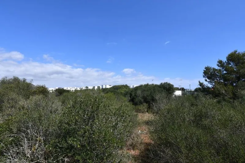 Large commercial plot with many options in Cala D'Or — photo 1