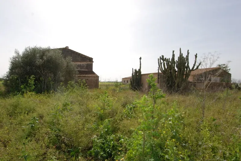 Spacious country house to reform on a large plot near Sa Rapita — photo 7