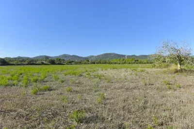 Plot with Unobstructed Views in Manacor — photo 2
