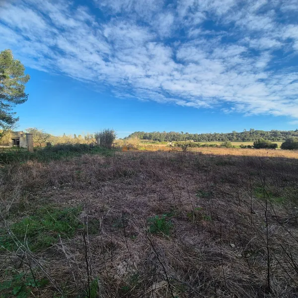 Rustic plot for sale – Municipality of Petra — photo 1