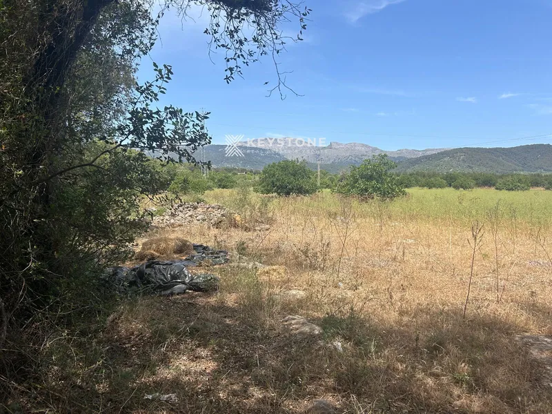 Plot — photo 3