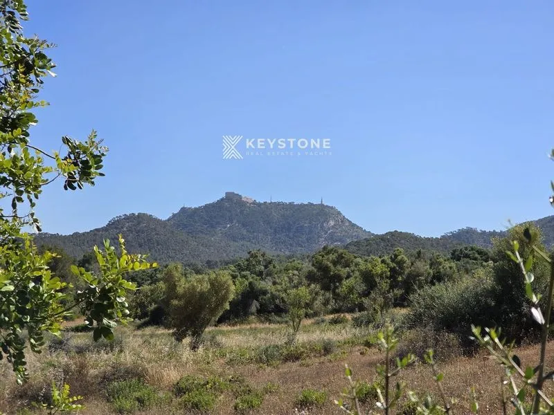 Plot — photo 1