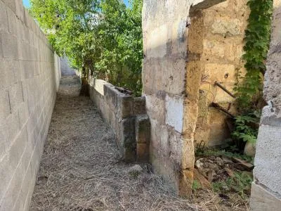 House Type Duplex - Sa Pobla (Pobla, Sa), Built Surface 165m², Plot Surface 194m², 1 Room, 1 Bathrooms — photo 3
