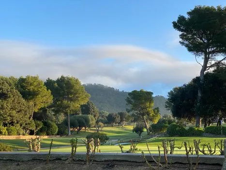 Property on the Golf Course — photo 3