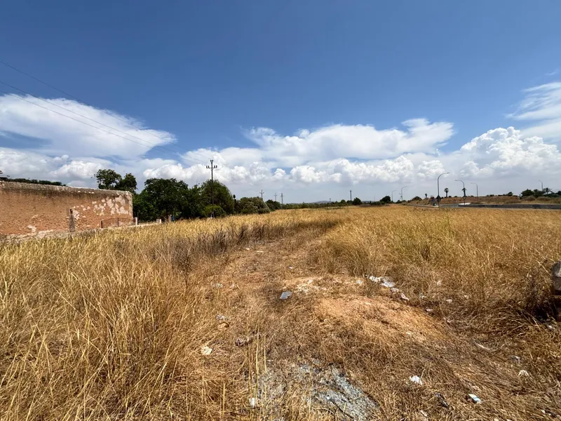Buildable plot in Pla de na Tesa, Marratxí — photo 2