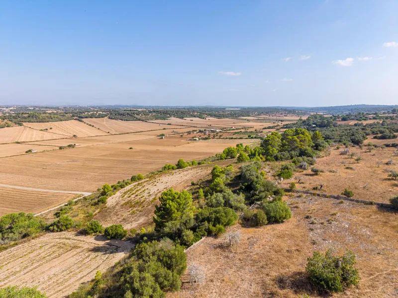 Buildable plot of 29,547 m² with open views in Petra — photo 11