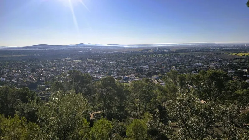 Land in Bunyola, Province of Balearic Islands — photo 1