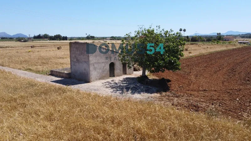 plot in Muro — photo 10