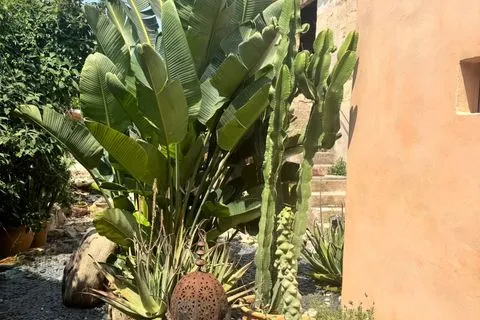 Village house in Sant Joan, Mallorca — photo 9
