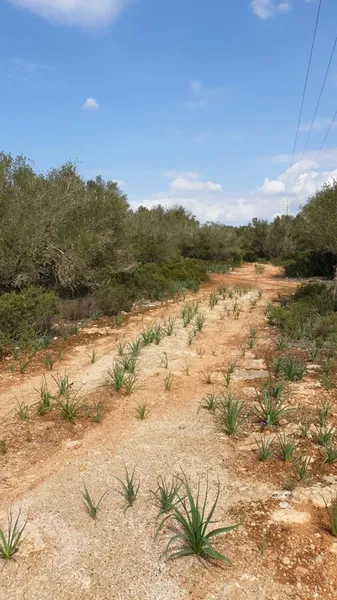 Lovely Huge Plot with Possibility to Build a 290 sqm House — photo 5