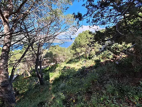Plot for sale in El Port de la Selva — photo 2