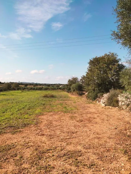 Plot in Llubí of about 3897 m² — photo 5