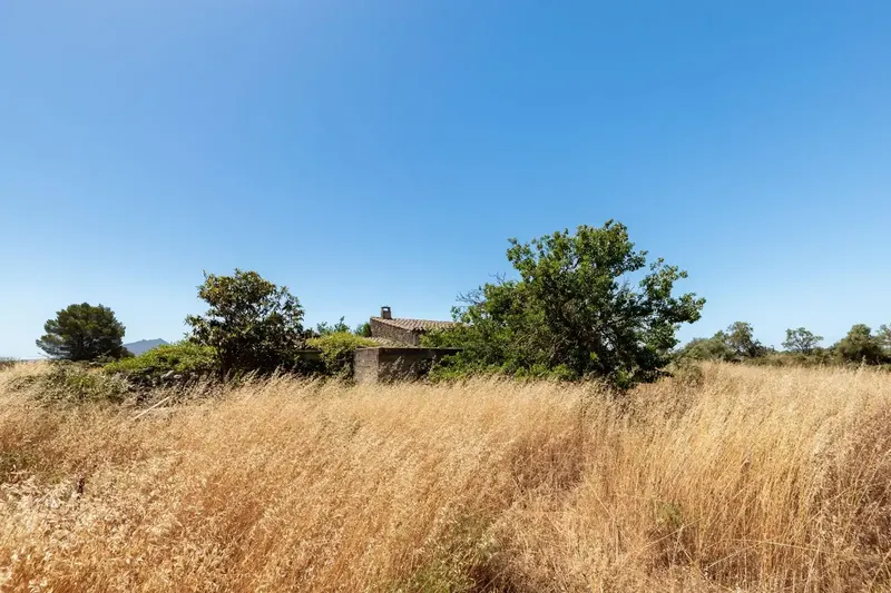 In an environment of absolute calm, surrounded by nature and with the charm of the rural landscape of Felanitx, this magnificent estate extends — photo 7