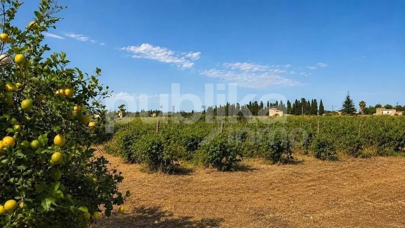 Rural or Farmhouse in Muro, Province of Balearic Islands — photo 8