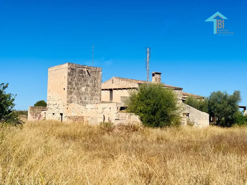 Discover the opportunity of a lifetime in Campos, Mallorca! — photo 3