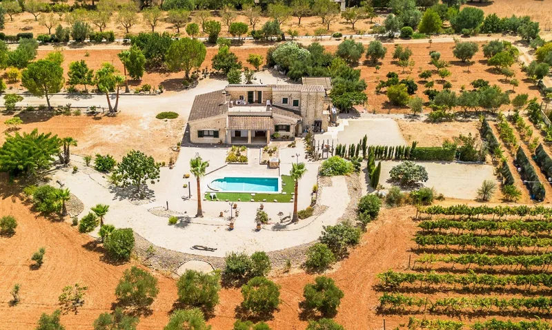 Exclusive luxury finca with pool, olive grove and vineyard in Inca — photo 1