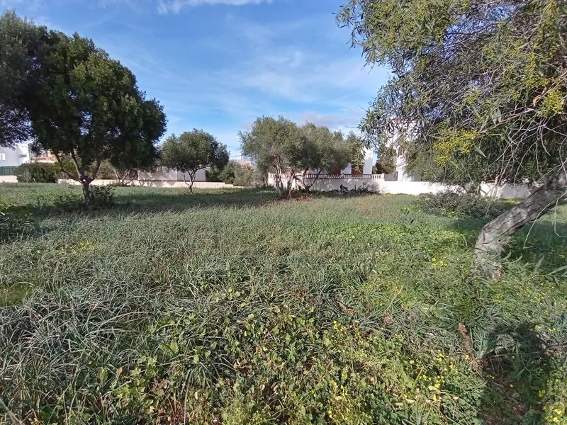 I-4039 Plot of 250 m2 in Sa Ràpita — photo 3
