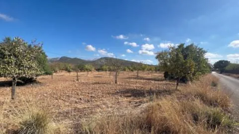 Terreno — photo 3