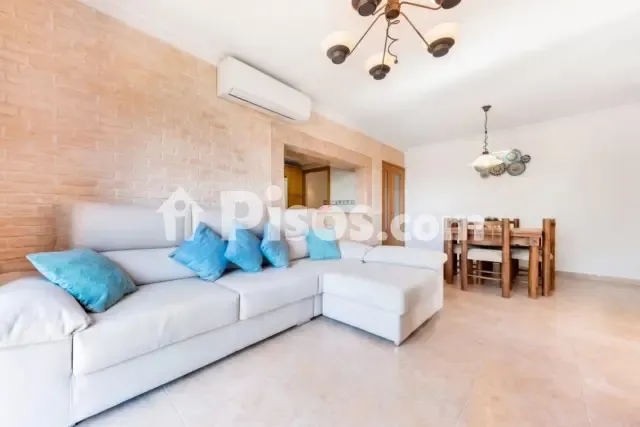 Apartment in Cala Millor — photo 1