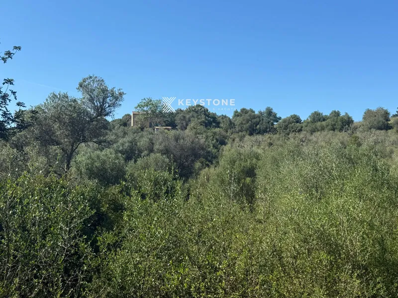 Plot — photo 7