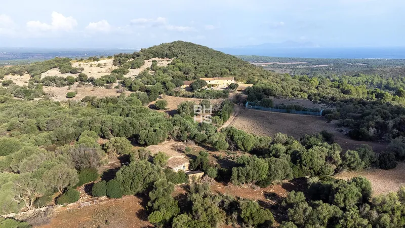 Rustic Finca for sale in Artà — photo 3