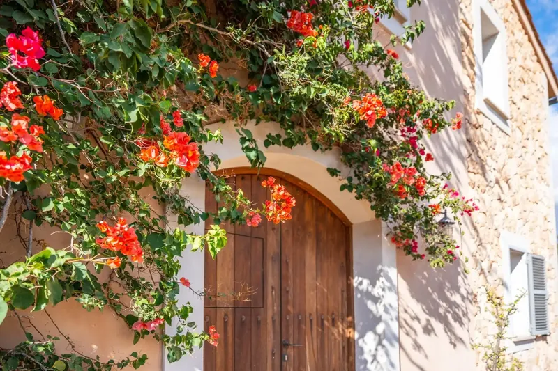 Absolute tranquility in the heart of Mallorcan nature and, at the same time, excellent connections to the island's main points. — photo 7