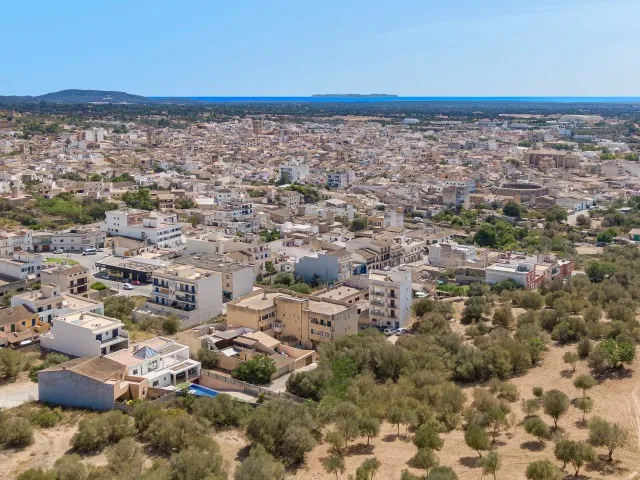 Plot with building license for sale in Campos, Southeast Mallorca — photo 8