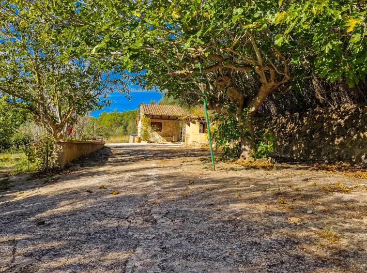 Ref. 2435C – Es Capdella – Beautiful finca with fantastic mountain views — photo 7