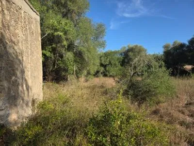 Rustic property in Costitx with 33 m² built area and 13,926 m² plot — photo 4