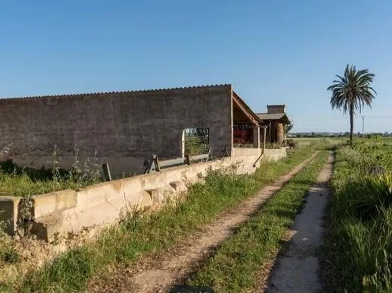 Rural or Farmhouse in Palma de Mallorca, Province of Balearic Islands — photo 4