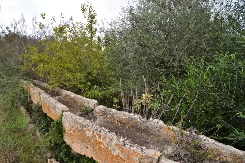 Plot of 15300 square meters with tool shed to be renovated — photo 9