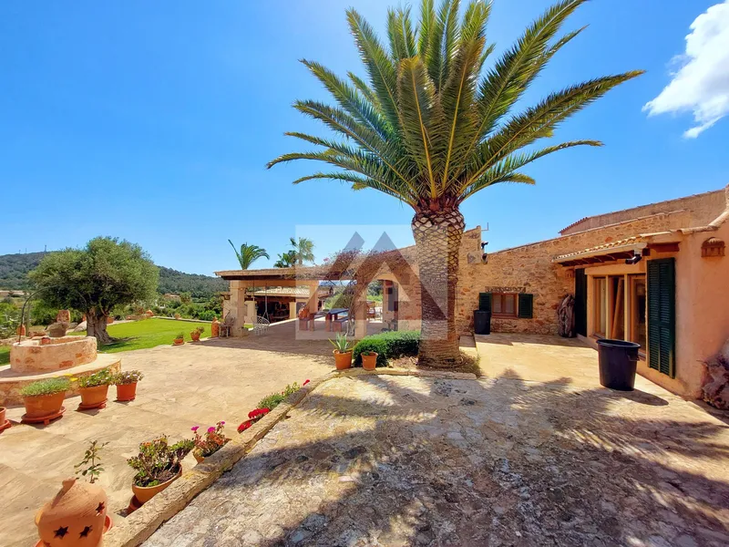 Luxusvilla zu verkaufen in Es Carritxo — photo 7